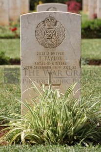 BEIRUT WAR CEMETERY - TAYLOR, THOMAS